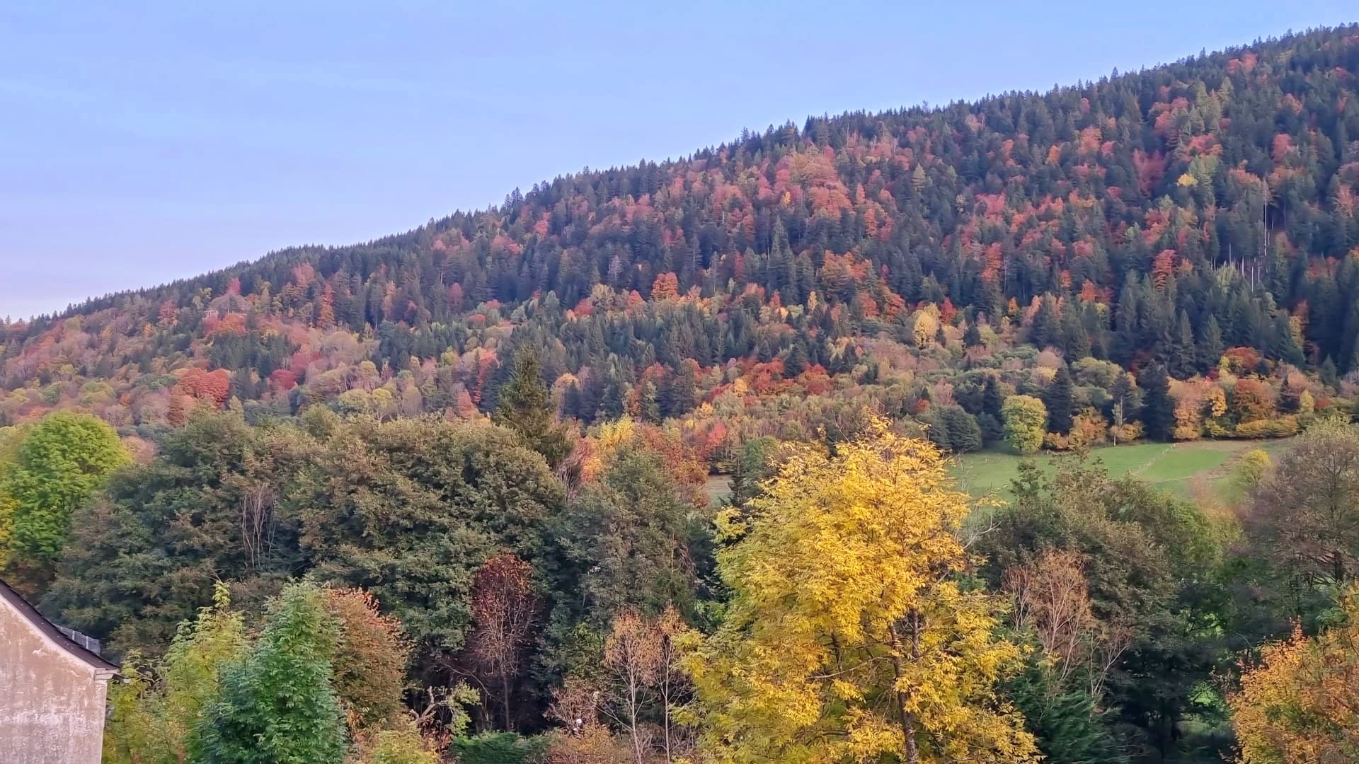 Paysage du Cantal en automne