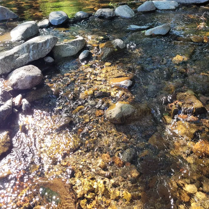 Ruisseau et pierres dans la nature du Cantal