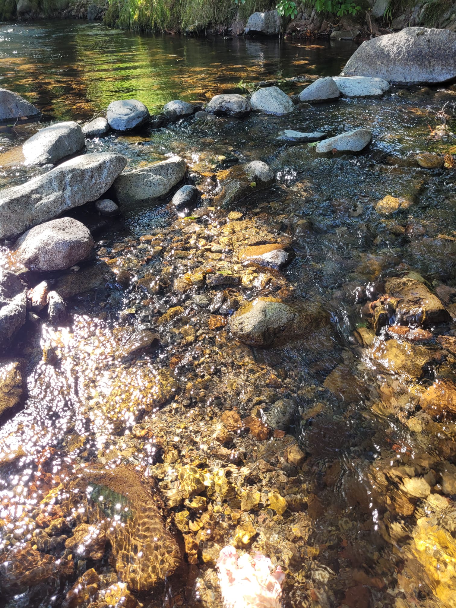 Ruisseau et pierres dans la nature du Cantal